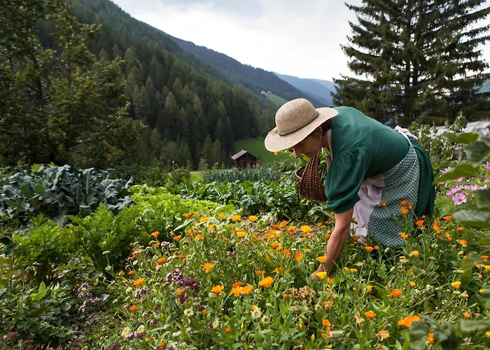 Hotel Mareo Dolomites